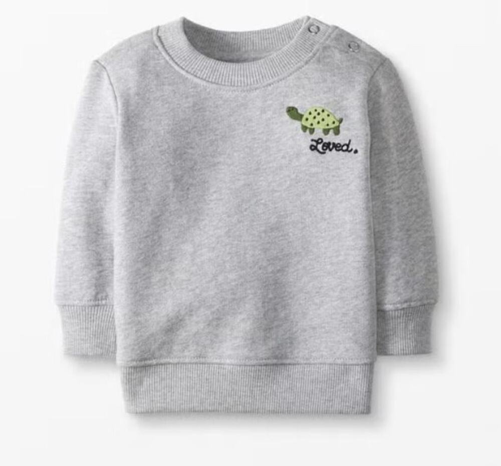 Hanna Andersson Embroidered Sweatshirt Organic French Terry Grey Turtle Loved 2T